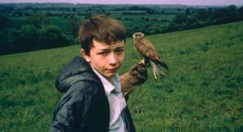 Why the poignant Kes is Britain’s greatest coming-of-age story