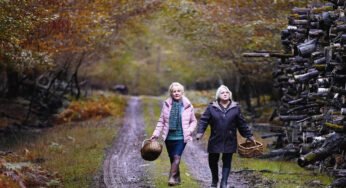 When Autumn Falls review – another year, another Ozon