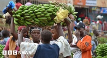 Tanzania bans South Africa and Malawi imports as trade row escalates
