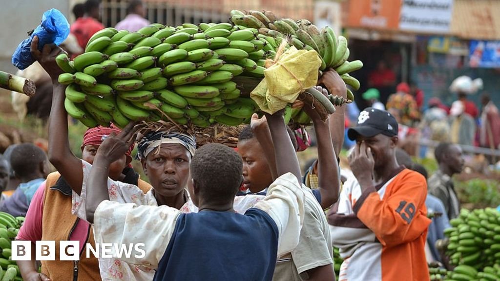 Tanzania bans South Africa and Malawi imports as trade row escalates